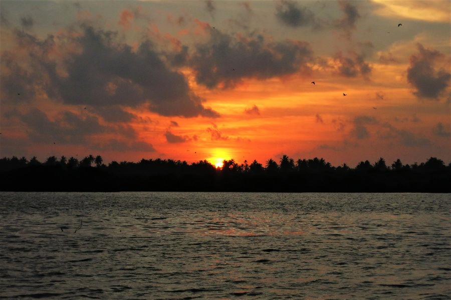 73. photo gallery.JPG